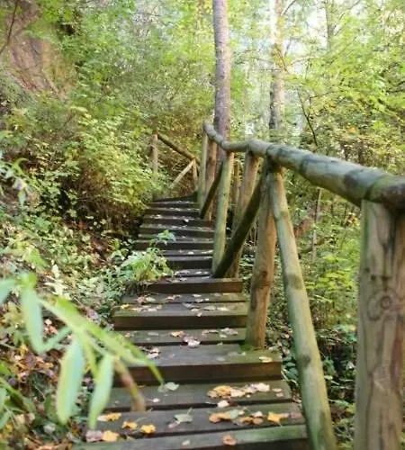 De Auberge de jeunesse *